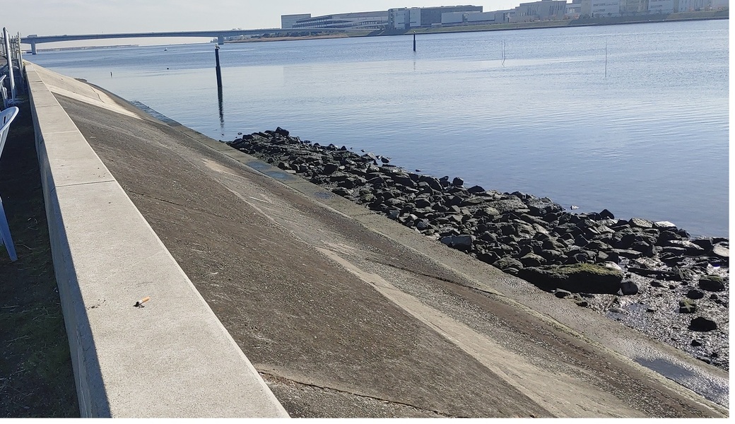 ＜番外編＞多摩川下流海老取川付近クリーン レポート