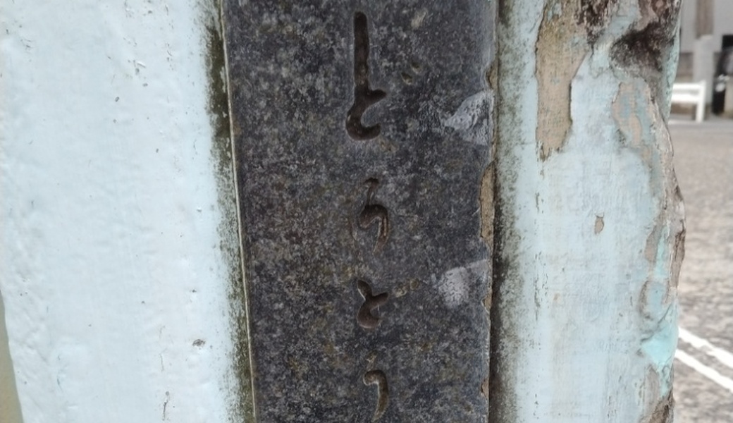 呑川クリーン レポート