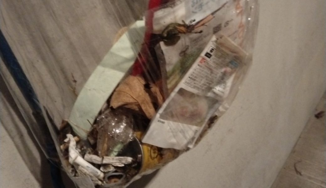 呑川クリーン レポート