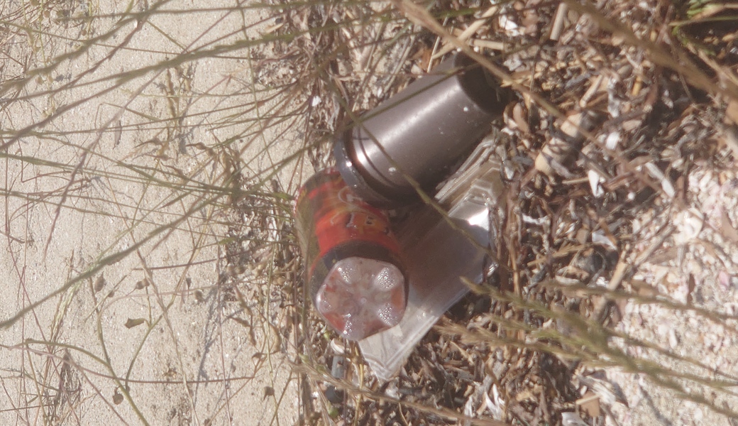 クリーンアップ レポート