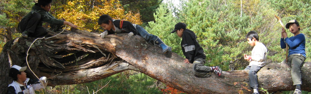 NPO法人やまぼうし自然学校 カバー