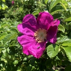 下北たくらみ会 プロフィール