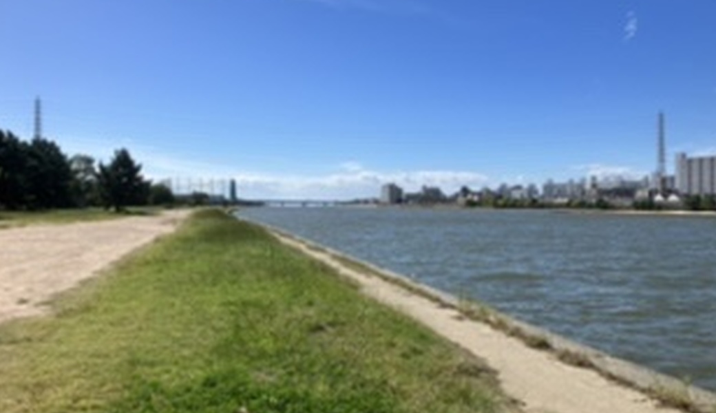 第一回武庫川クリーンアップ作戦 アイキャッチ