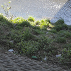 個人ゴミ拾い プロフィール