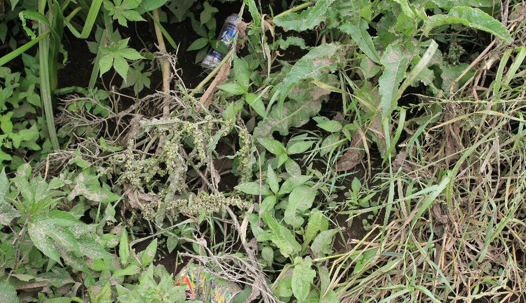 個人活動 アイキャッチ