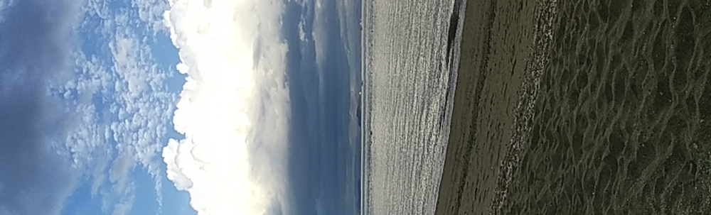 沙美海岸遊クリーンsamikaigan カバー