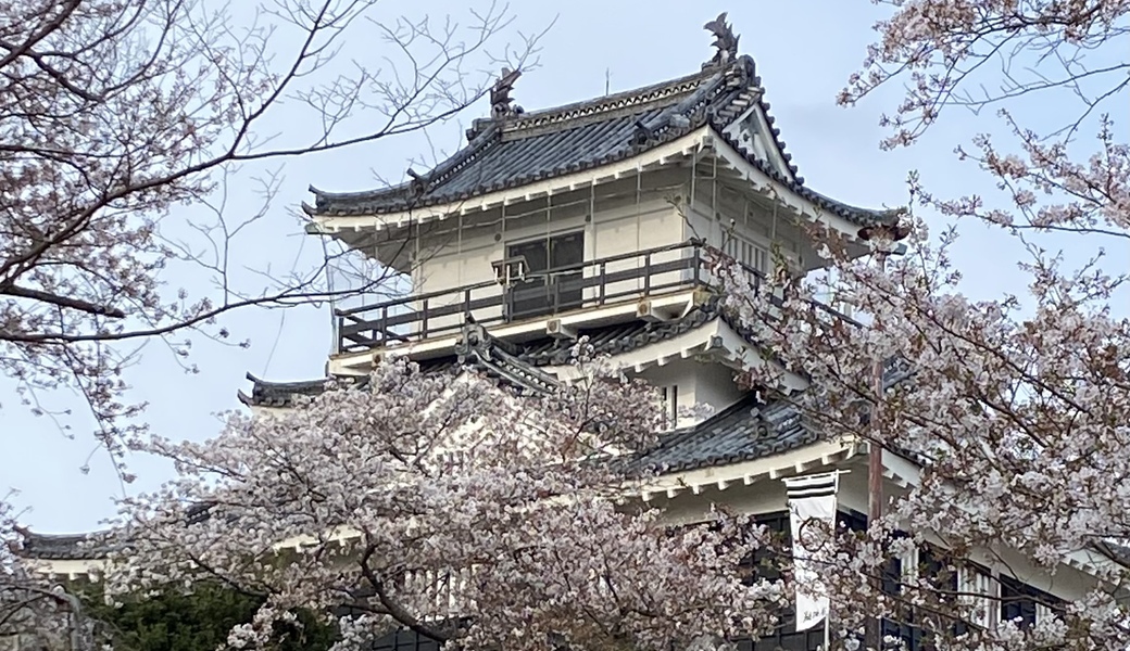 ブルーサンタ in 浜松城公園 アイキャッチ