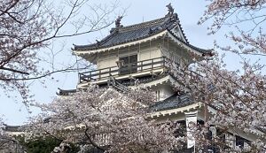 ブルーサンタ in 浜松城公園 アイキャッチ