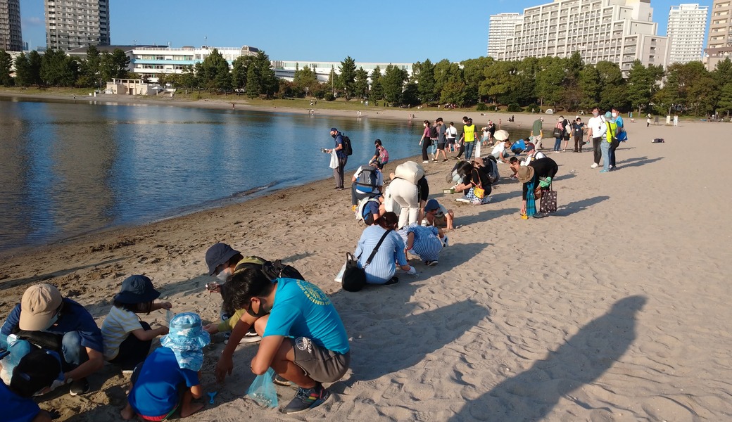 ビーチクリーン活動（お台場海浜公園） レポート