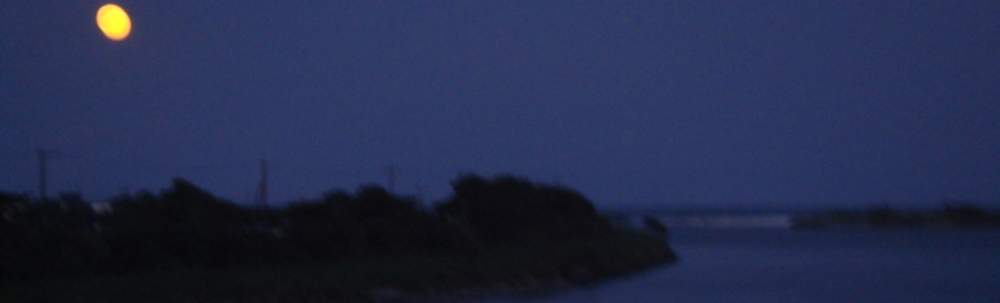 有)岬マリーン カバー