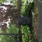 成蹊中学・高等学校 プロフィール