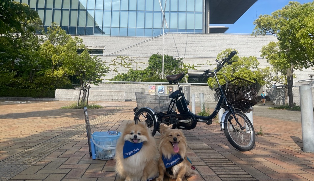 プロギングドッグ　夕ん歩 レポート