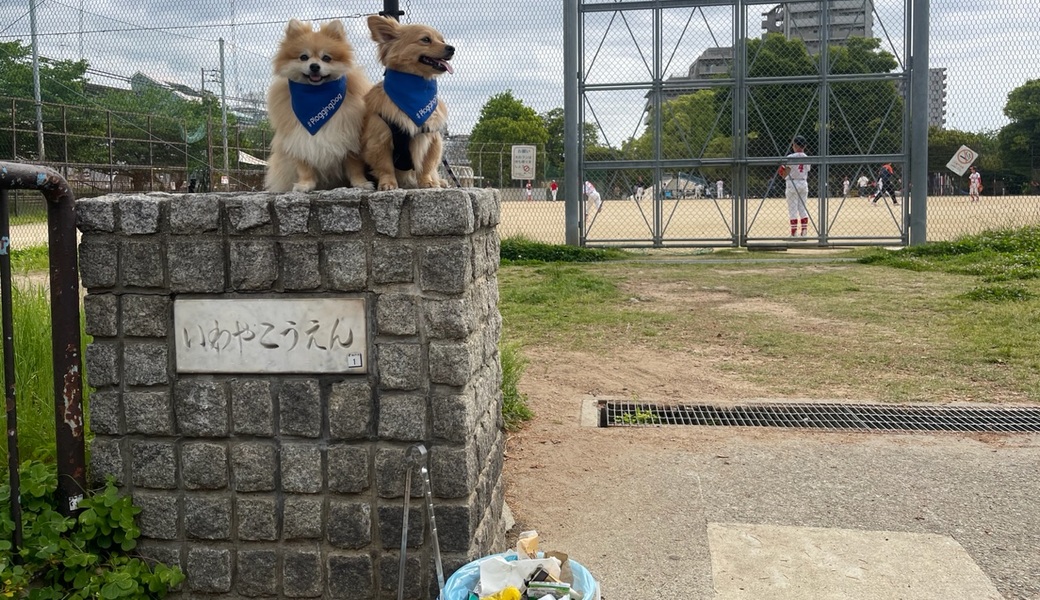 プロギングドッグ　朝ん歩 レポート