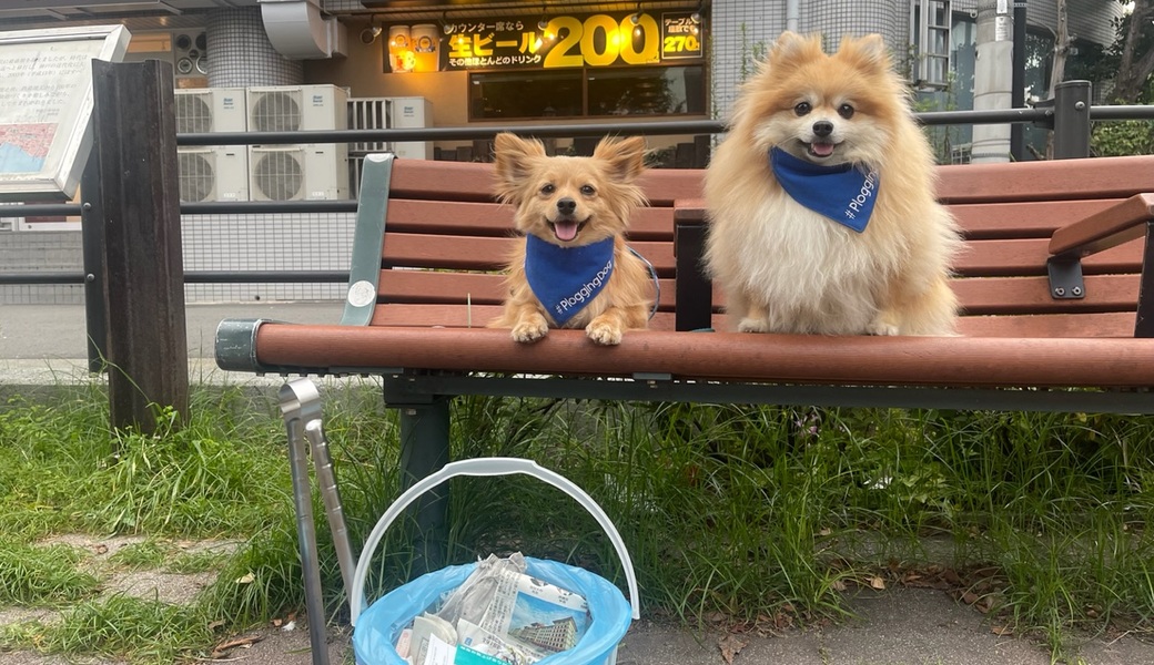 プロギングドッグ 夕ん歩 レポート