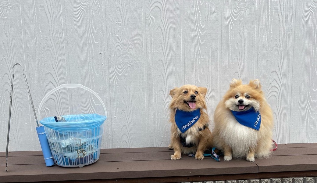 プロギングドッグ　朝ん歩 レポート