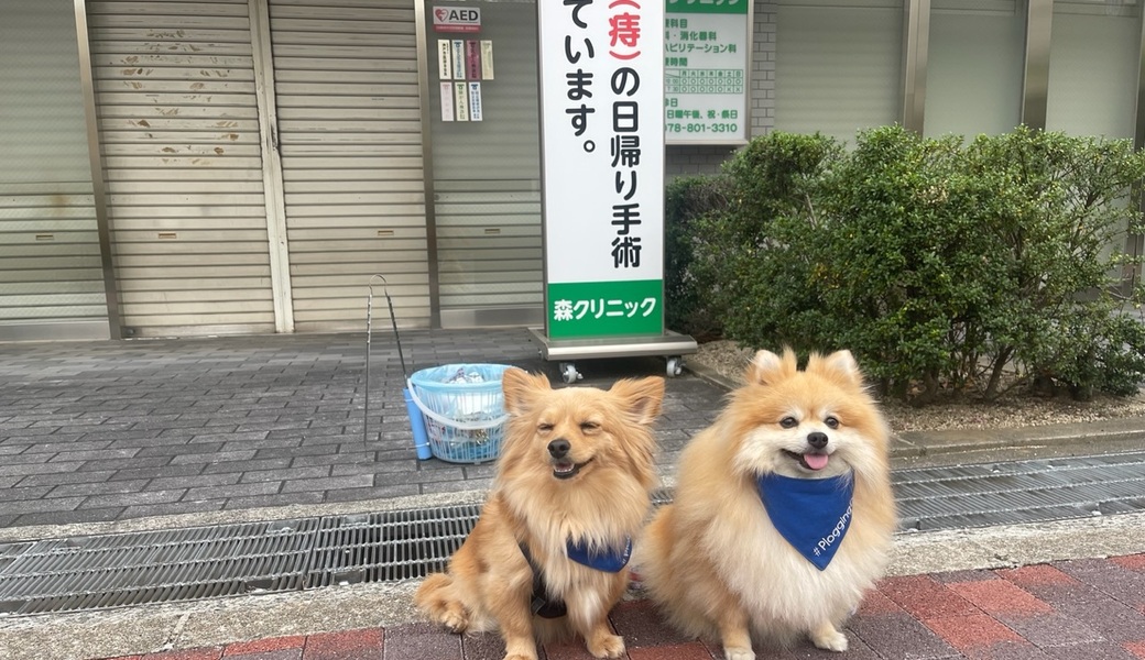 プロギングドッグ　夕ん歩 レポート