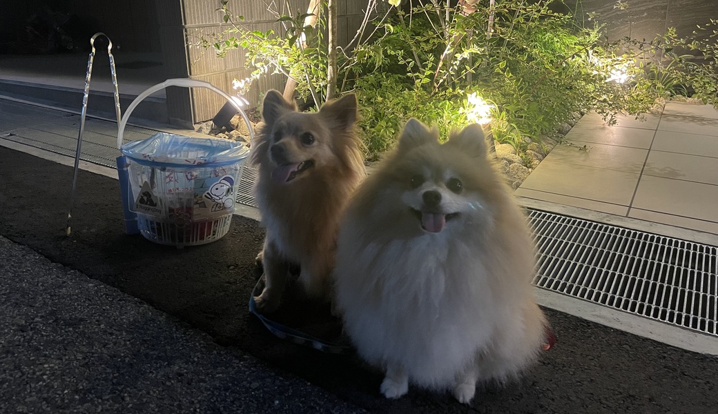 プロギングドッグ　夕ん歩 レポート