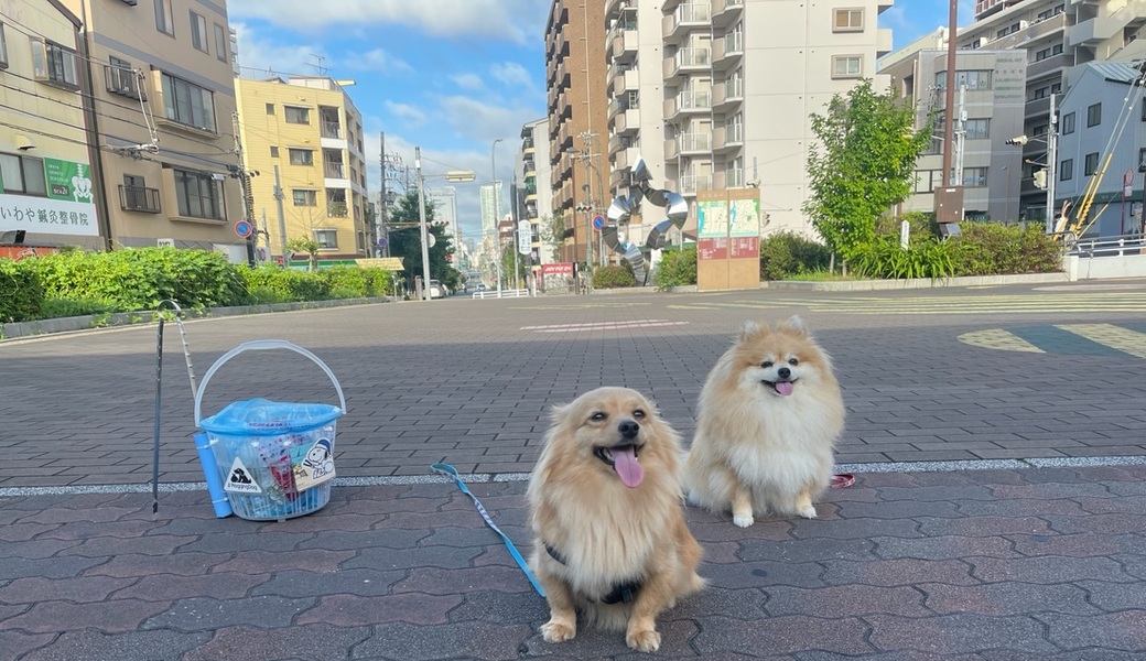プロギングドッグ　朝ん歩 レポート