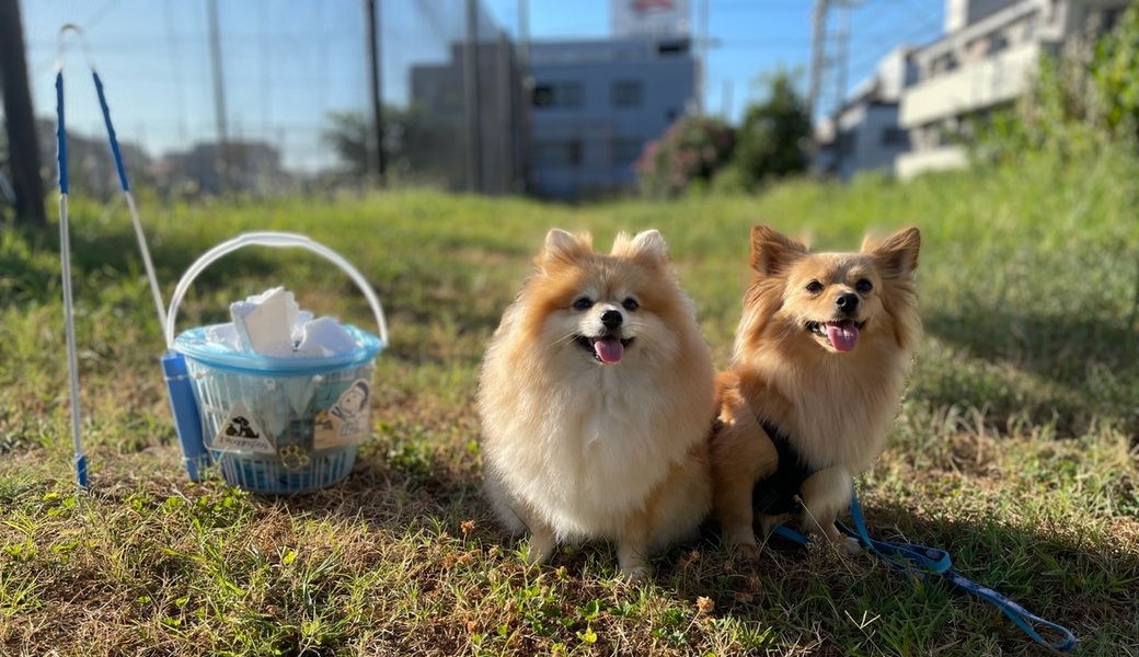 プロギングドッグ　朝ん歩 レポート