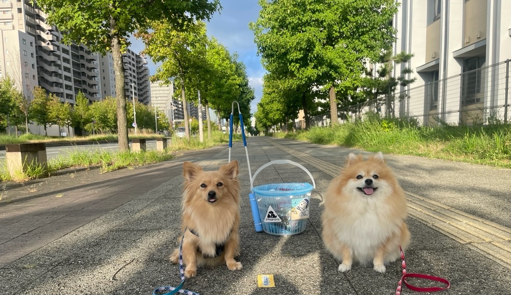 プロギングドッグ朝ん歩 レポート