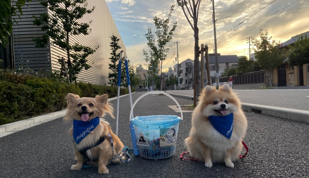 プロギングドッグ　夕ん歩 レポート