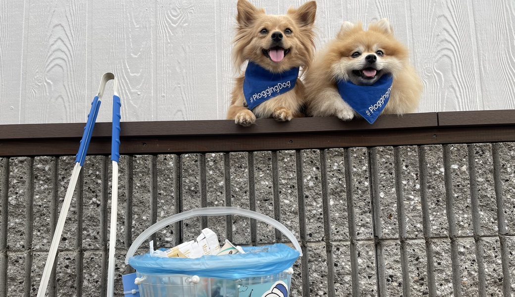 プロギングドッグ朝ん歩 レポート