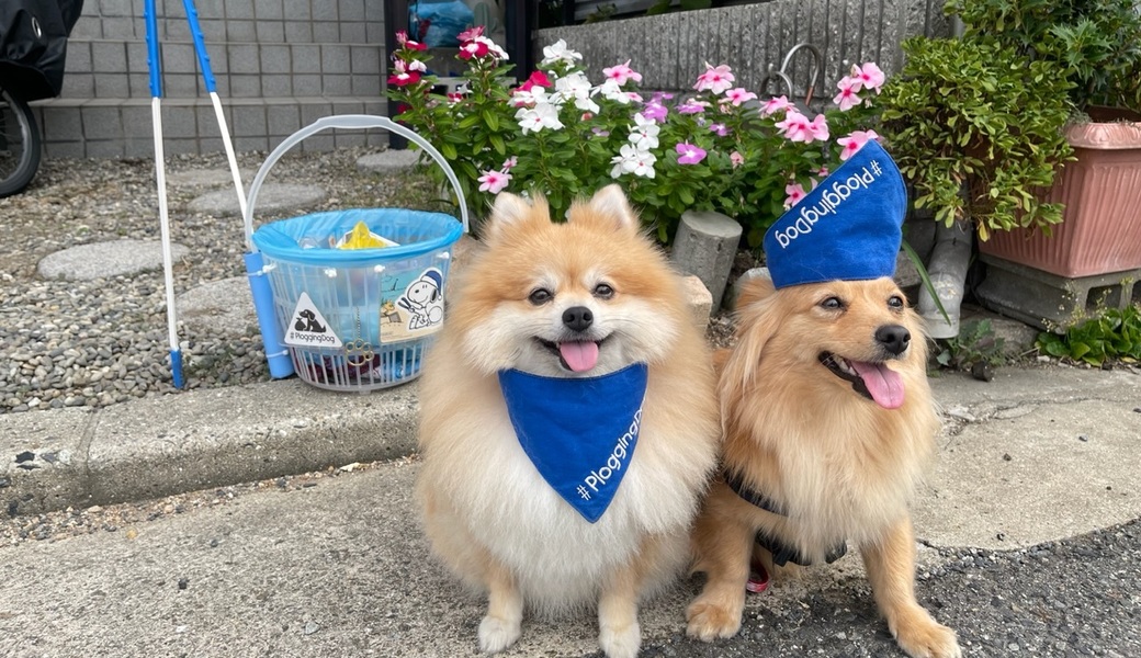 プロギングドッグ朝ん歩 レポート