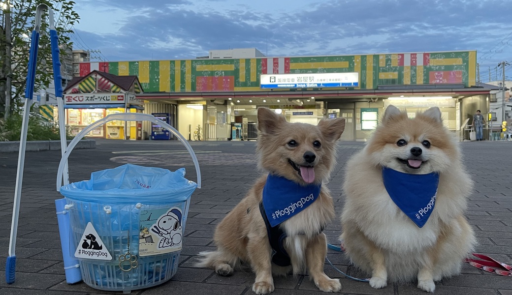 プロギングドッグ夕ん歩 レポート