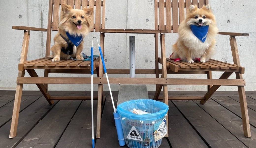 プロギングドッグ朝ん歩 レポート