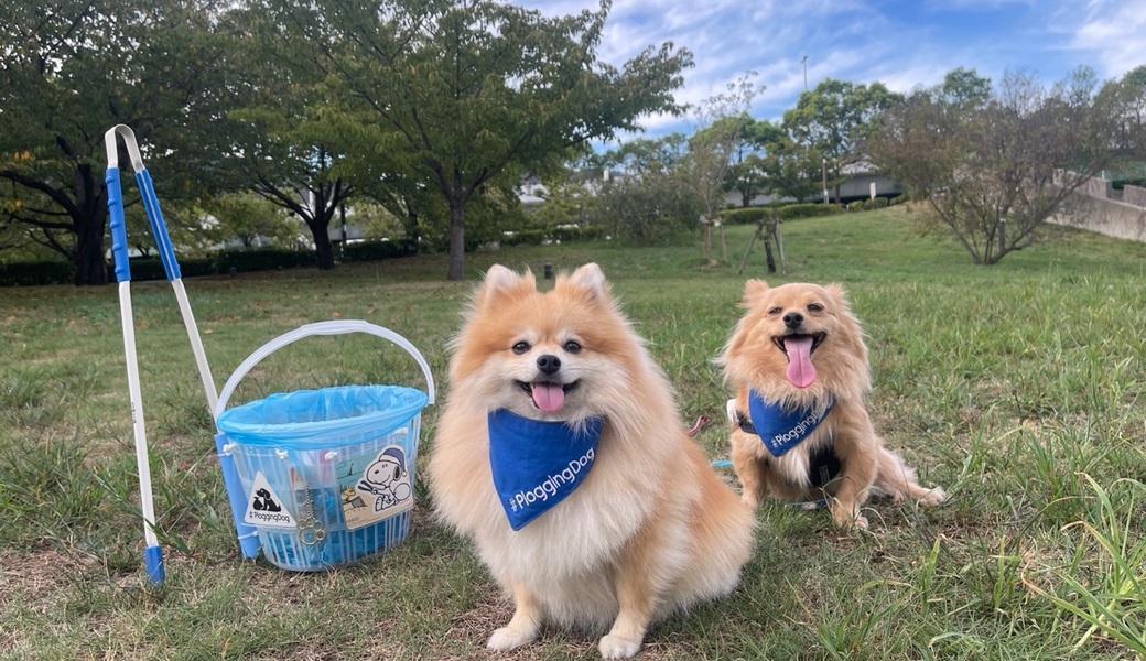 プロギングドッグ夕ん歩 レポート