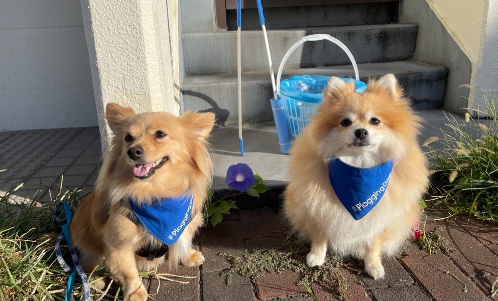 プロギングドッグ朝ん歩 レポート