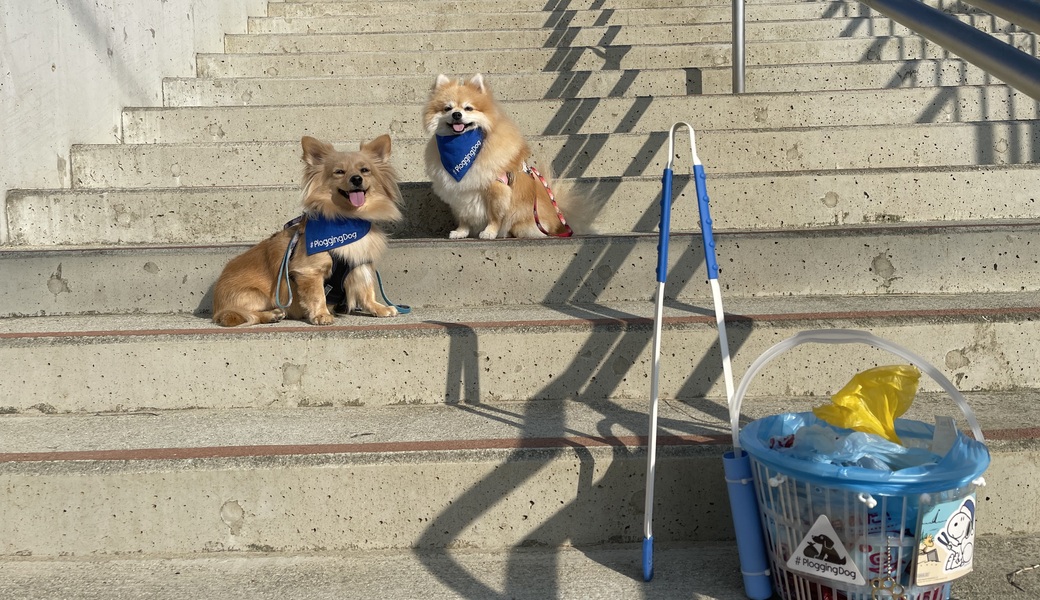 プロギングドッグ朝ん歩 レポート