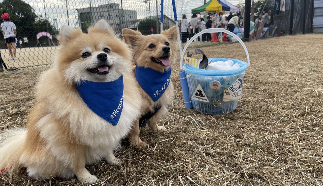 プロギングドッグ朝ん歩 レポート