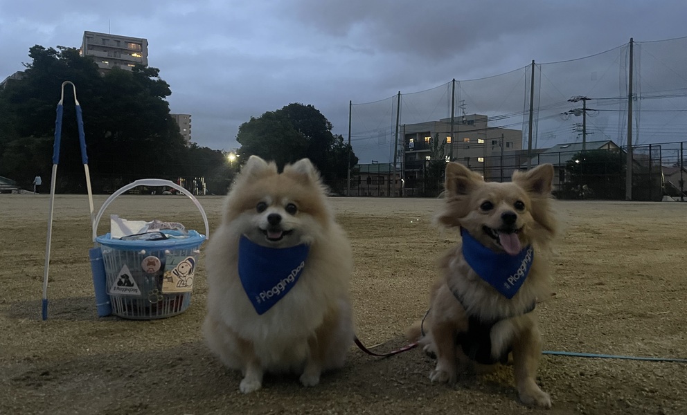 プロギングドッグ夕ん歩 レポート