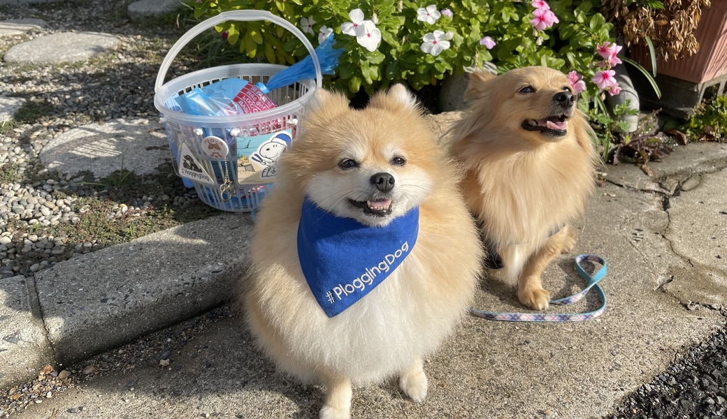 プロギングドッグ朝ん歩 レポート