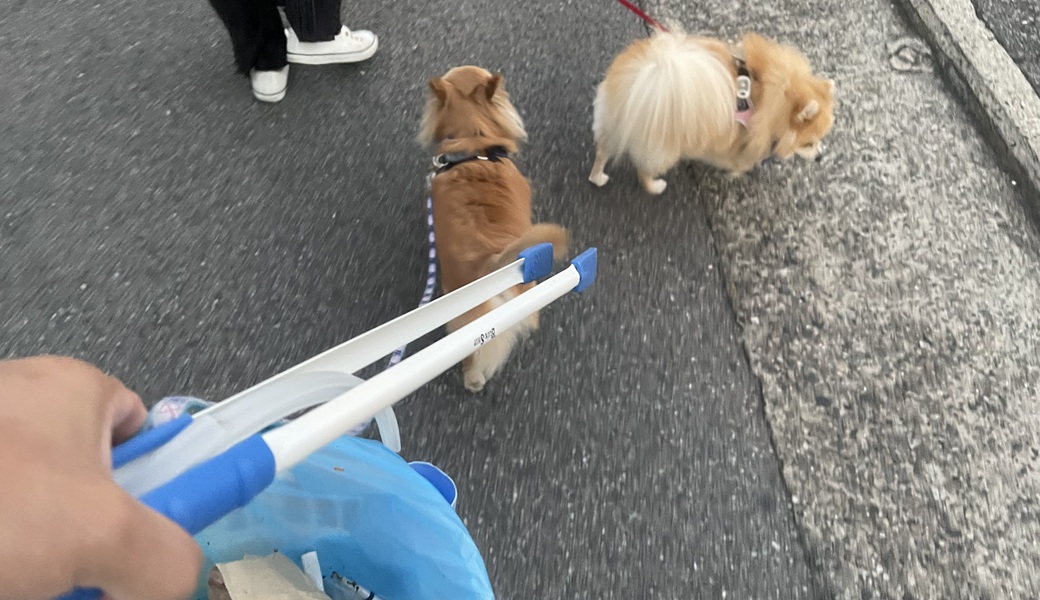 プロギングドッグ夕ん歩 レポート