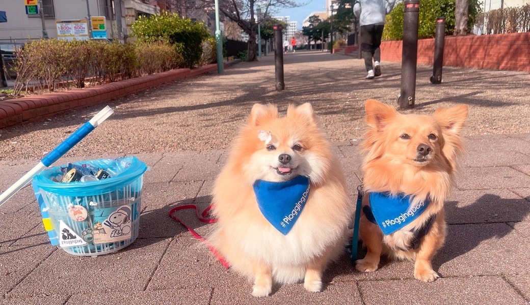 プロギングドッグ朝ん歩 レポート