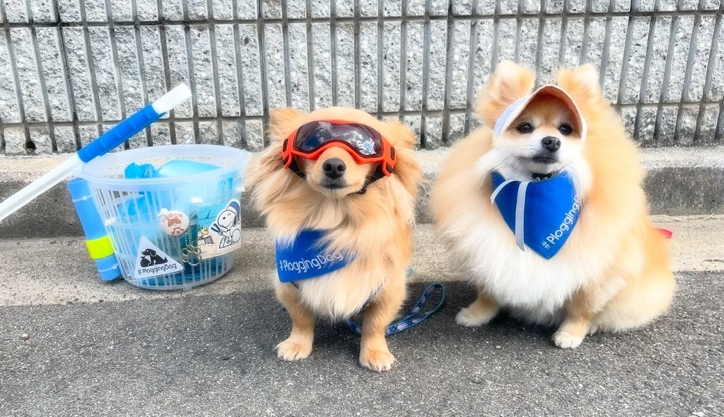 プロギングドッグ朝ん歩 レポート