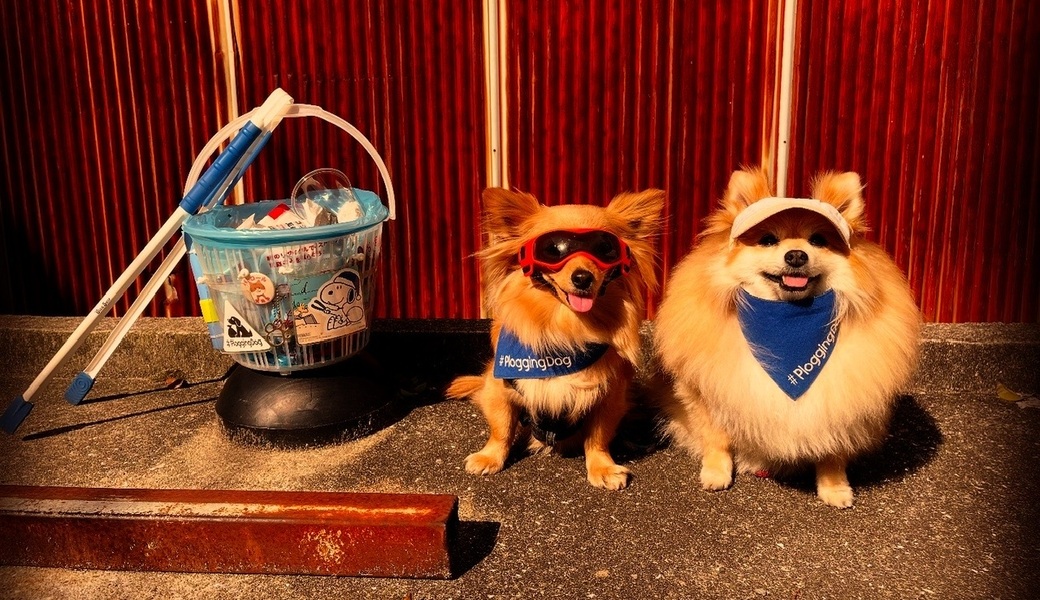 プロギングドッグ朝ん歩 レポート