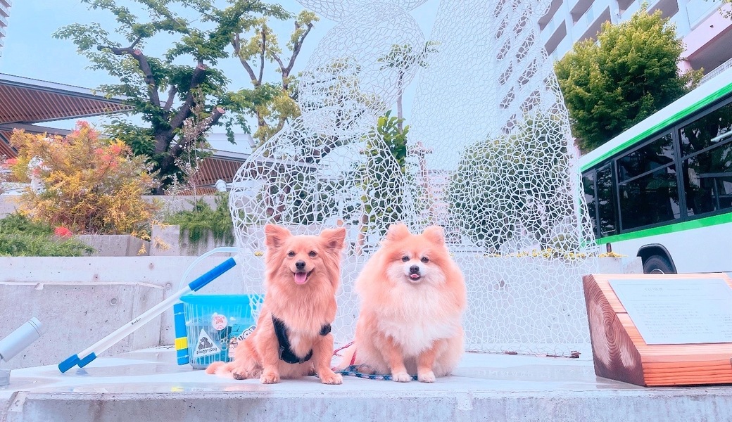 プロギングドッグ朝ん歩 レポート