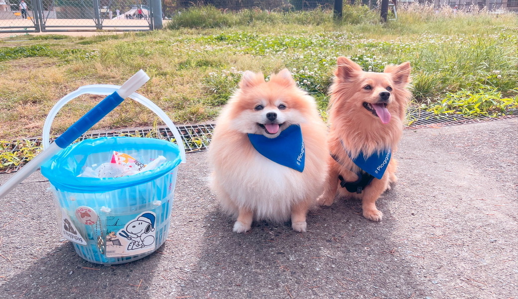 プロギングドッグ朝ん歩 レポート