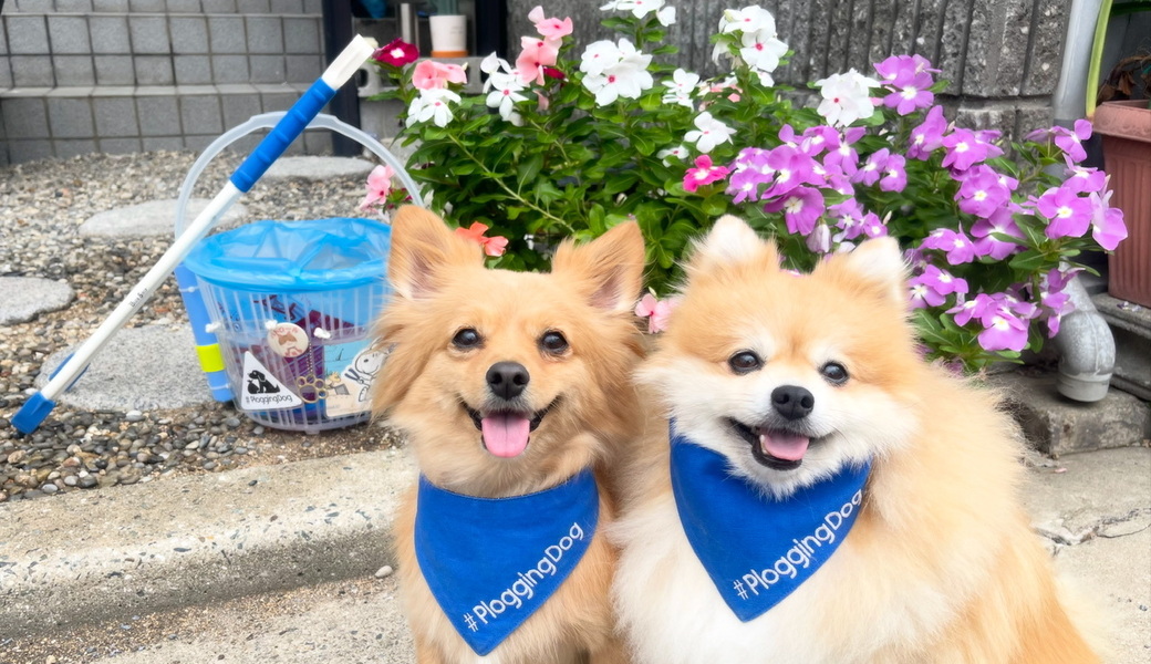 プロギングドッグ朝ん歩 レポート