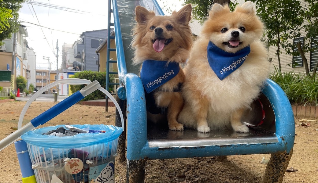 プロギングドッグ朝ん歩 レポート