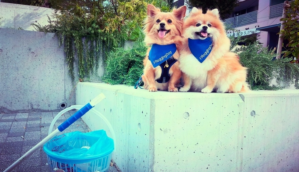 プロギングドッグ朝ん歩 レポート