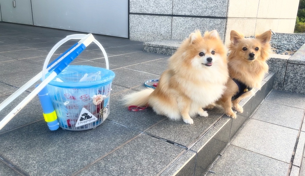 プロギングドッグ朝ん歩 レポート