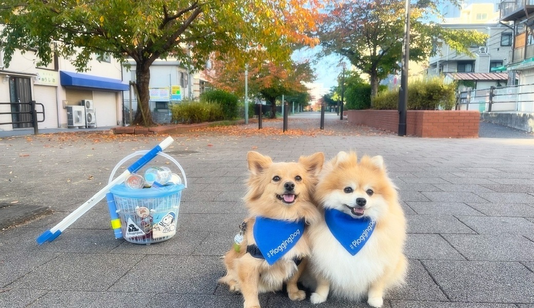 プロギングドッグ朝ん歩 レポート