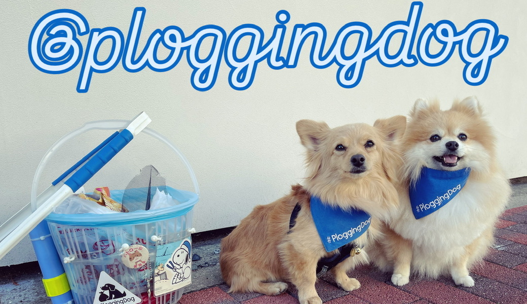 プロギングドッグ　朝ん歩 レポート