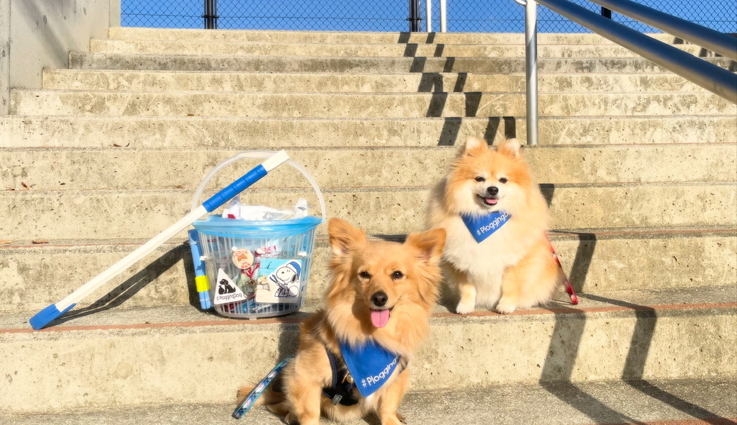 プロギングドッグ　朝ん歩 レポート