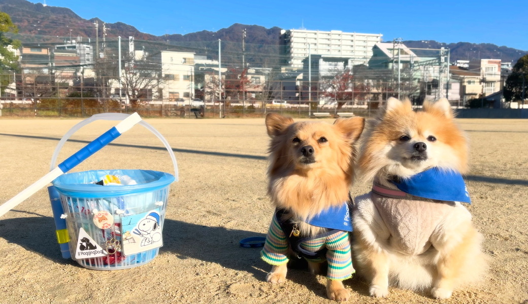 プロギングドッグ朝ん歩 レポート