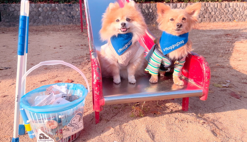 プロギングドッグ朝ん歩 レポート